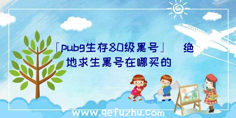 「pubg生存80级黑号」|绝地求生黑号在哪买的